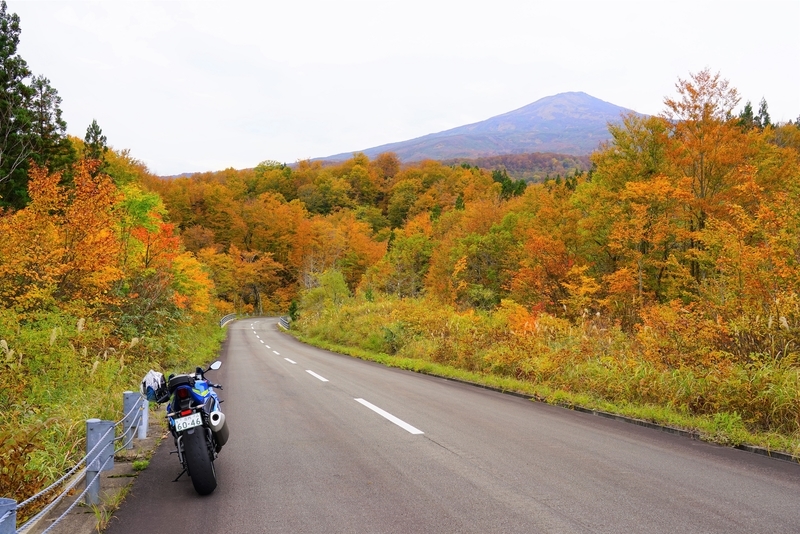 f:id:GSX-R1000:20201106152125j:plain