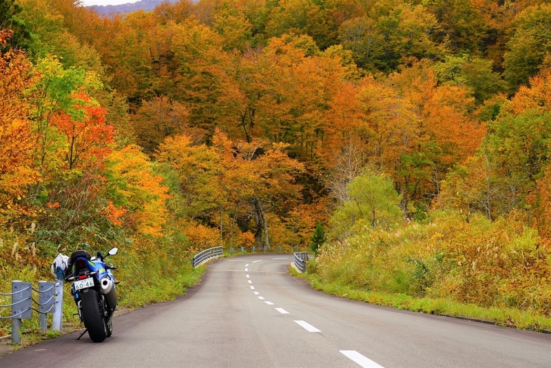 f:id:GSX-R1000:20201106152137j:plain