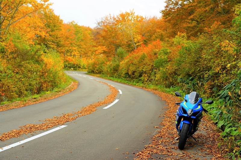 f:id:GSX-R1000:20201106152209j:plain
