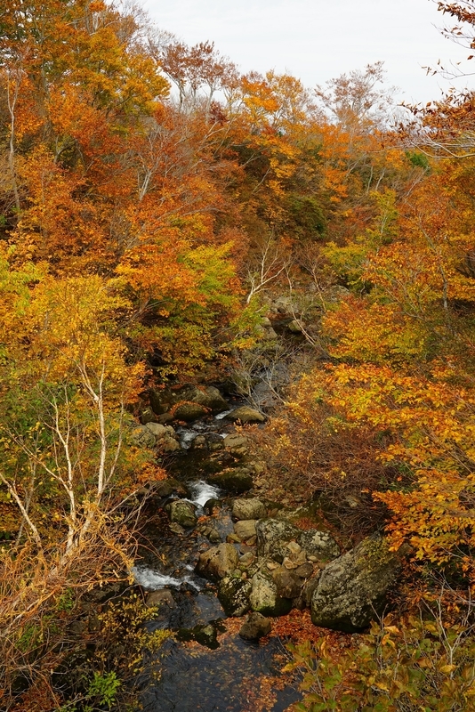 f:id:GSX-R1000:20201106152300j:plain