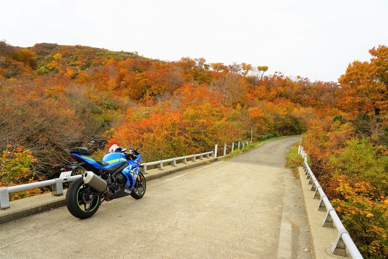f:id:GSX-R1000:20201106152310j:plain