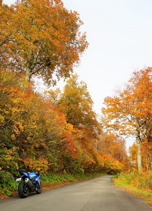 f:id:GSX-R1000:20201106152320j:plain