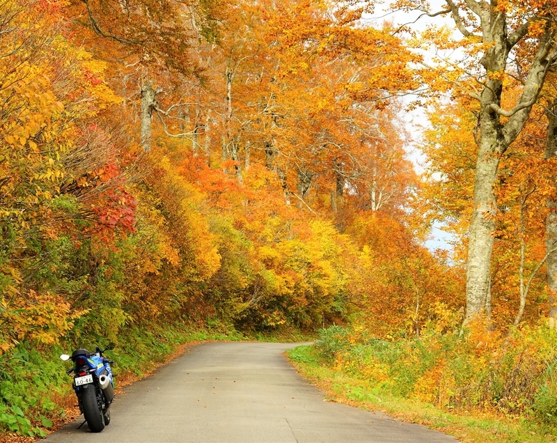 f:id:GSX-R1000:20201106152328j:plain