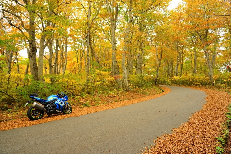 f:id:GSX-R1000:20201106152338j:plain