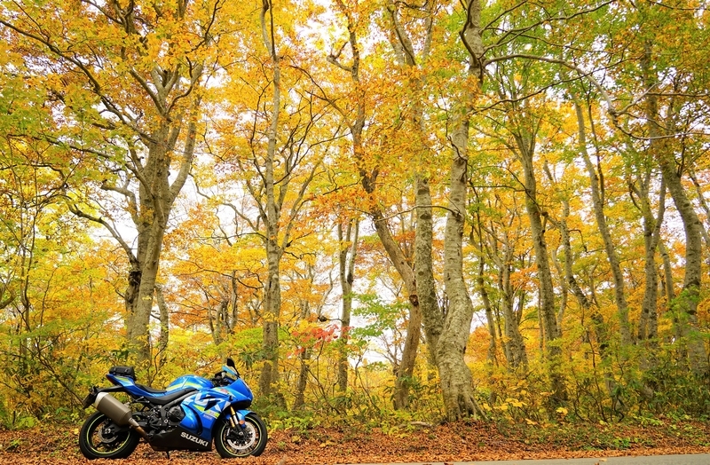 f:id:GSX-R1000:20201106152346j:plain