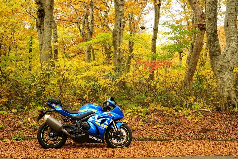 f:id:GSX-R1000:20201106152357j:plain