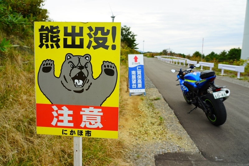 f:id:GSX-R1000:20201106152413j:plain