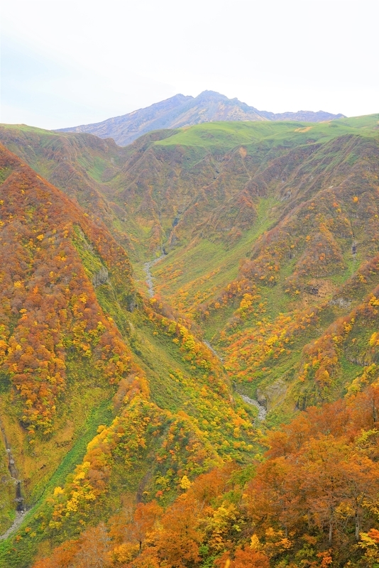 f:id:GSX-R1000:20201106152520j:plain