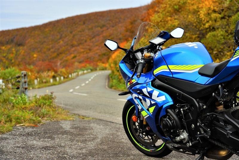 f:id:GSX-R1000:20201106152613j:plain