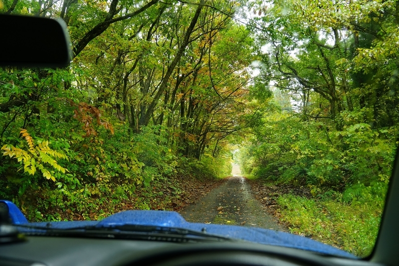 f:id:GSX-R1000:20201107215848j:plain