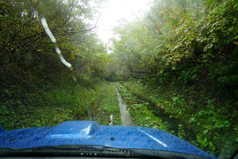 f:id:GSX-R1000:20201107215921j:plain