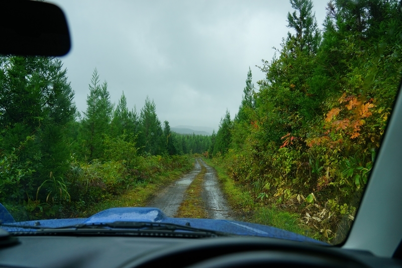 f:id:GSX-R1000:20201107220006j:plain