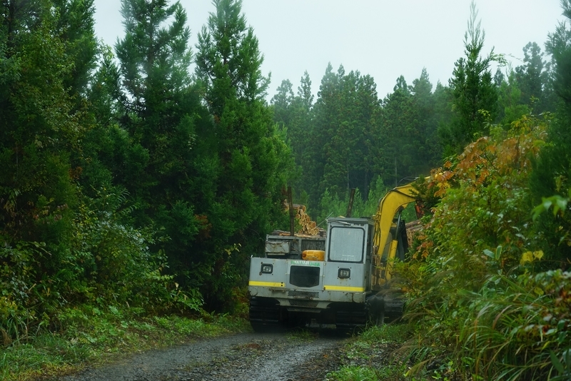 f:id:GSX-R1000:20201107220015j:plain