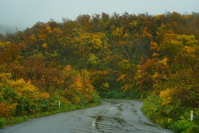 f:id:GSX-R1000:20201107220044j:plain