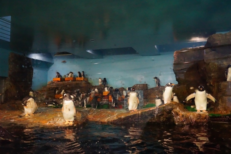 f:id:GSX-R1000:20201109204537j:plain f:id:GSX-R1000:20201109204537j:plain