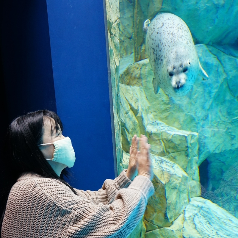 f:id:GSX-R1000:20201109205147j:plain f:id:GSX-R1000:20201109205147j:plain