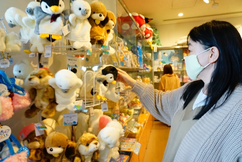 f:id:GSX-R1000:20201109205414j:plain f:id:GSX-R1000:20201109205414j:plain