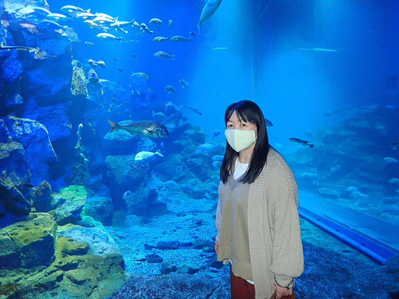 f:id:GSX-R1000:20201109205852j:plain f:id:GSX-R1000:20201109205852j:plain