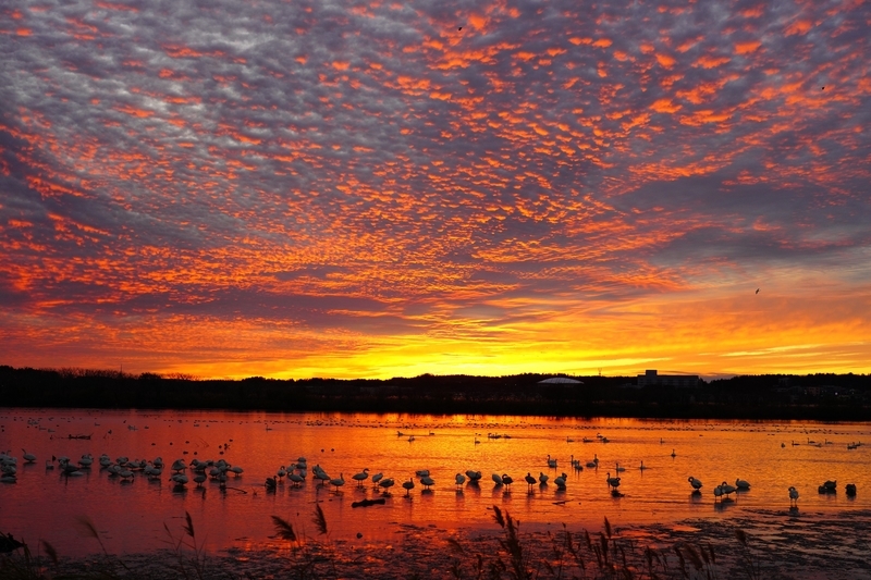 f:id:GSX-R1000:20201125210036j:plain