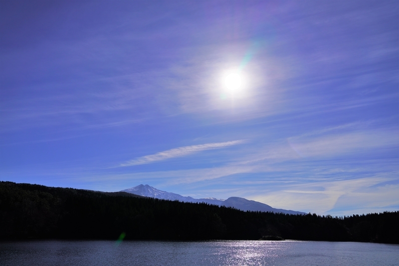 f:id:GSX-R1000:20201201203620j:plain