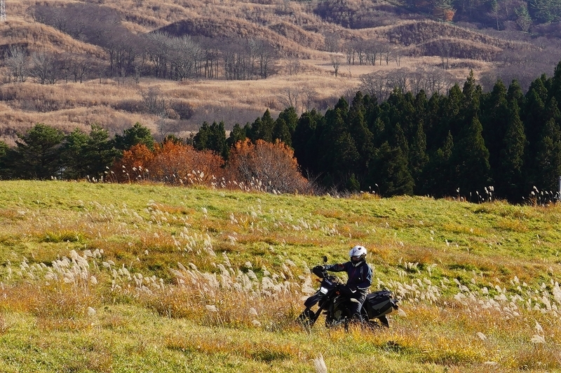 f:id:GSX-R1000:20201201204608j:plain