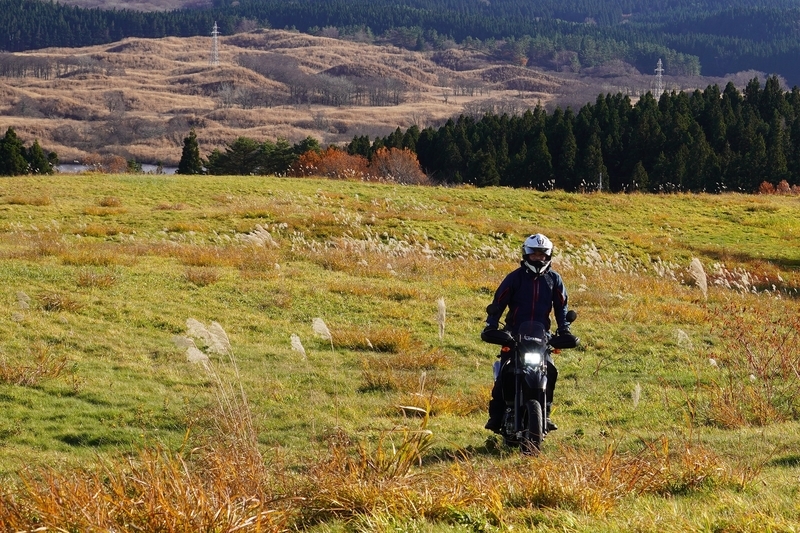 f:id:GSX-R1000:20201201204651j:plain