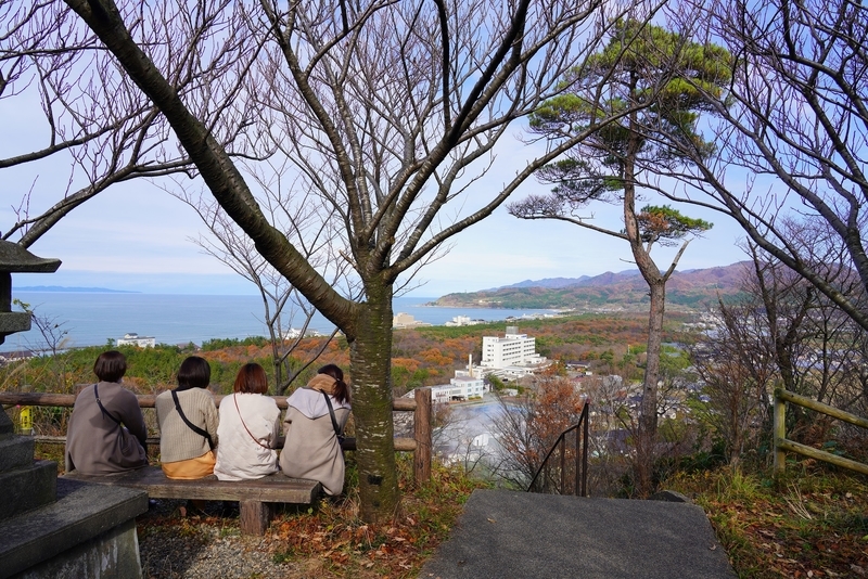 f:id:GSX-R1000:20201203194455j:plain