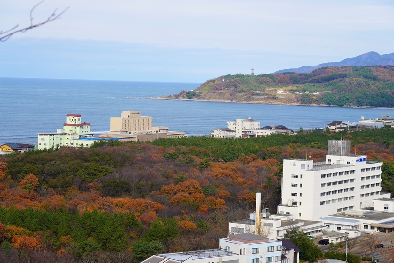 f:id:GSX-R1000:20201203194501j:plain