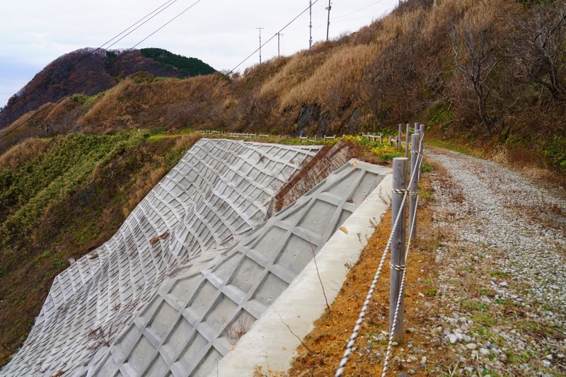 f:id:GSX-R1000:20201203194920j:plain