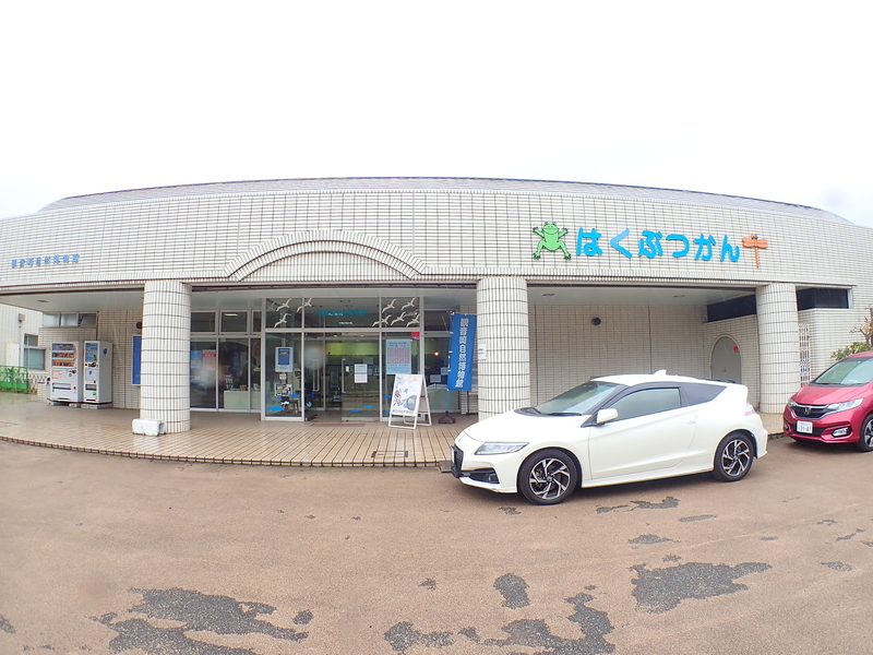 f:id:GSX-R1000:20201211193252j:plain