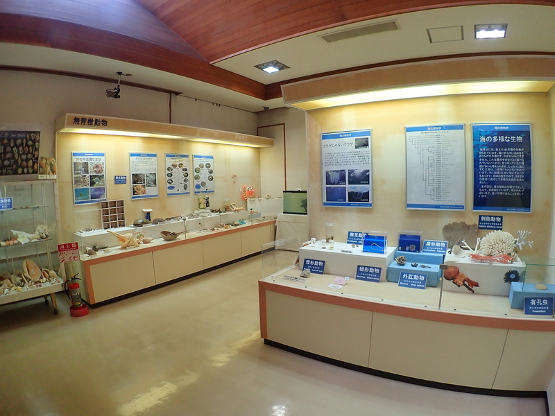 f:id:GSX-R1000:20201211193407j:plain