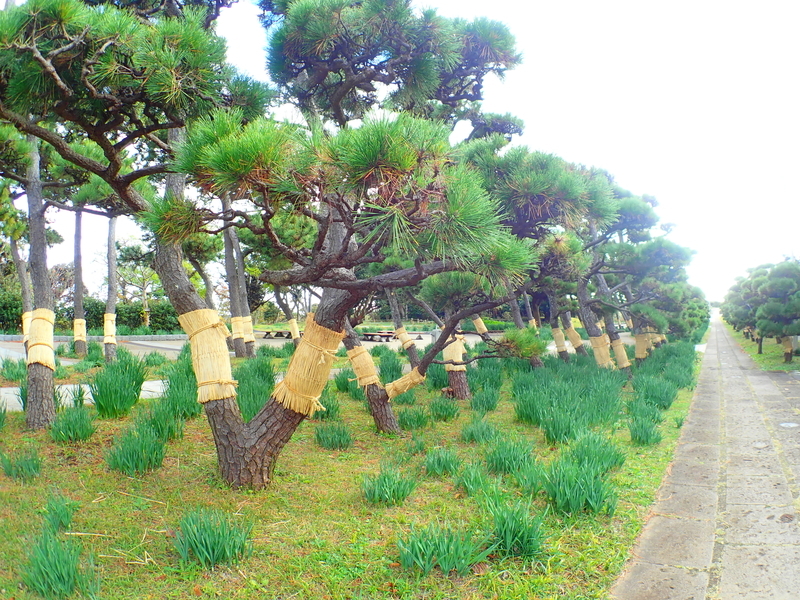 f:id:GSX-R1000:20201211193651j:plain