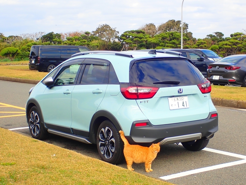 f:id:GSX-R1000:20201211193837j:plain