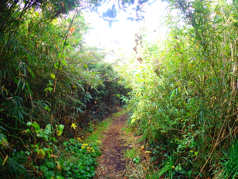 f:id:GSX-R1000:20201211193901j:plain