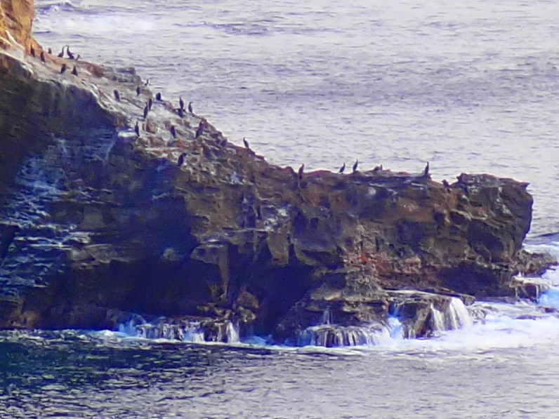 f:id:GSX-R1000:20201211194330j:plain