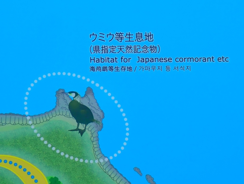 f:id:GSX-R1000:20201211194548j:plain