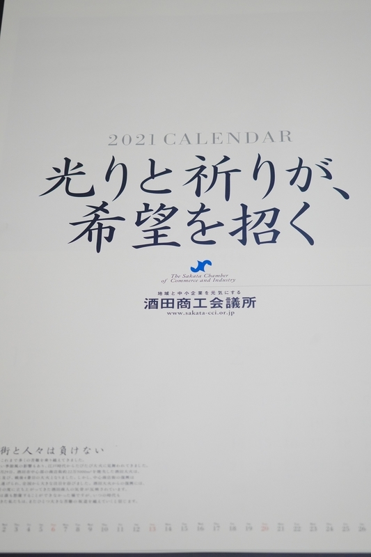 f:id:GSX-R1000:20201228205542j:plain