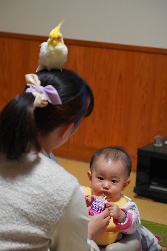 f:id:GSX-R1000:20210106221022j:plain