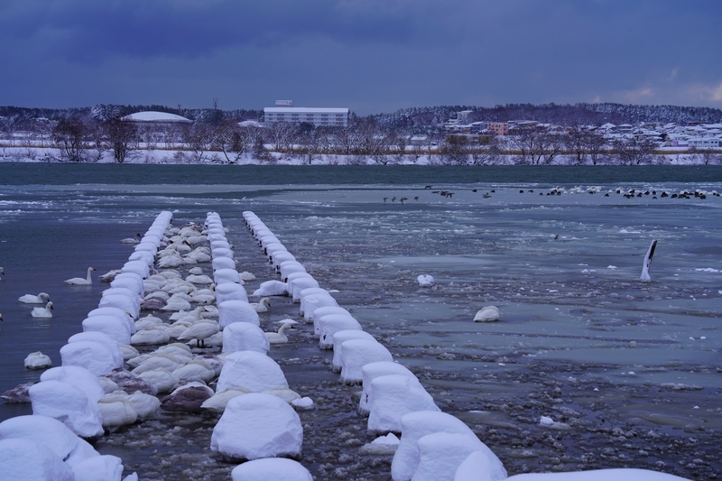 f:id:GSX-R1000:20210110212507j:plain