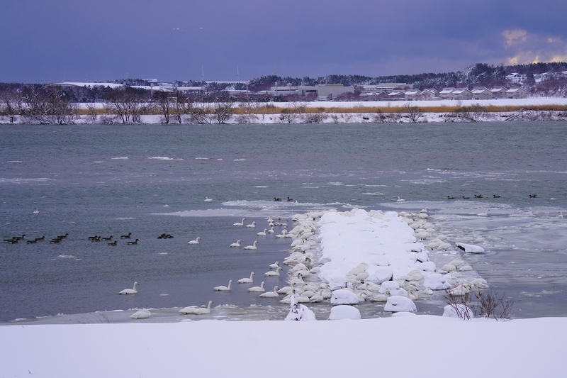 f:id:GSX-R1000:20210110212813j:plain