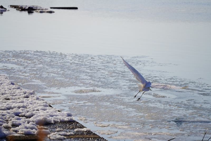 f:id:GSX-R1000:20210125195015j:plain