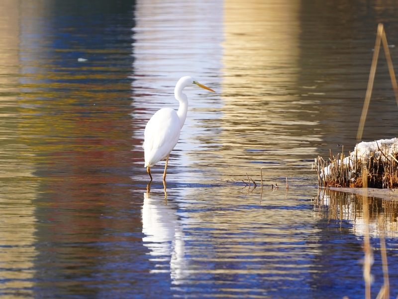 f:id:GSX-R1000:20210125195148j:plain