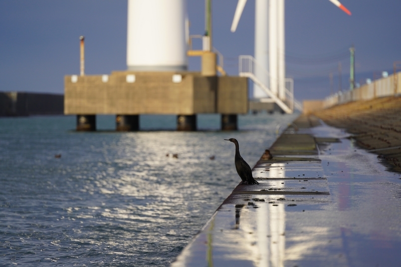 f:id:GSX-R1000:20210125195431j:plain