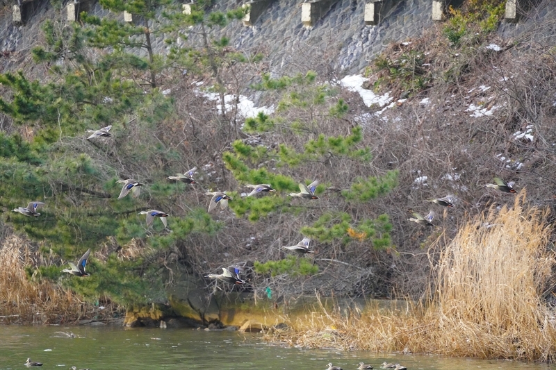 f:id:GSX-R1000:20210125200114j:plain