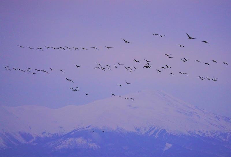 f:id:GSX-R1000:20210211115252j:plain