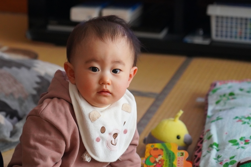 f:id:GSX-R1000:20210227201805j:plain