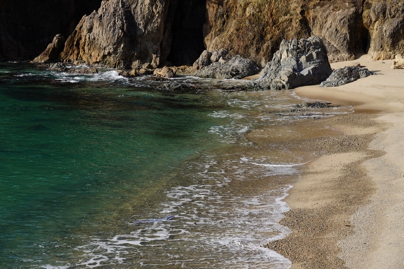 f:id:GSX-R1000:20210306194818j:plain