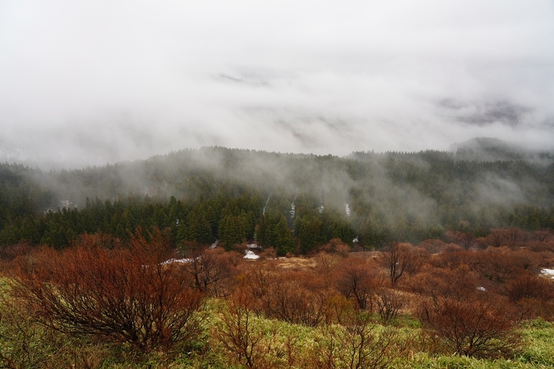 f:id:GSX-R1000:20210329203842j:plain