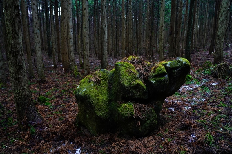 f:id:GSX-R1000:20210329204243j:plain