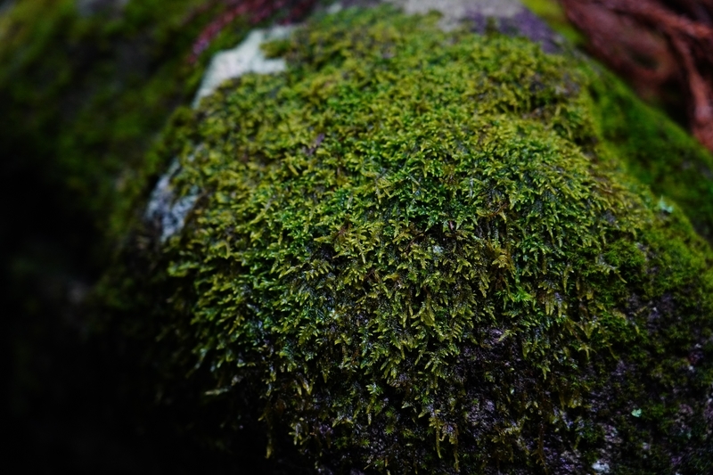 f:id:GSX-R1000:20210329204318j:plain